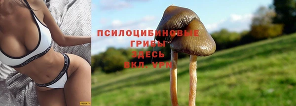 экстази Беломорск