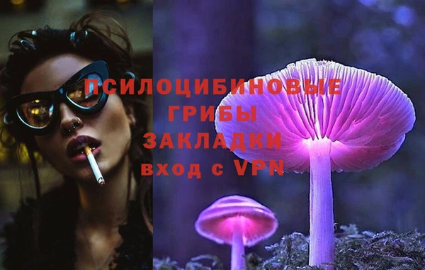 кокс Белокуриха