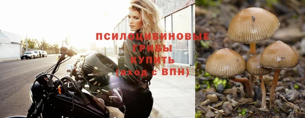 экстази Беломорск