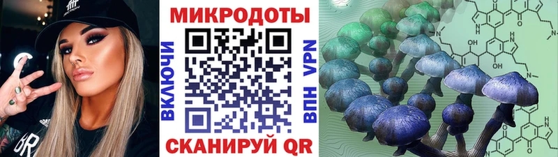 Псилоцибиновые грибы Psilocybine cubensis  KRAKEN как зайти  Заречный 